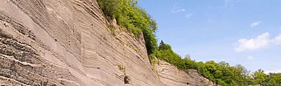 Wingertsbergwand
